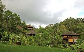 Eco Stay